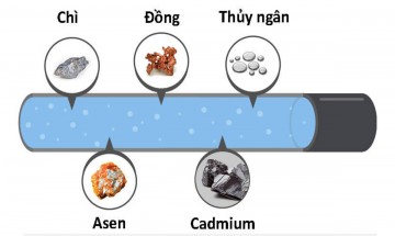 Kim Loại Nặng Là Gì? Uống Nước Chứa Kim Loại Nặng Gây Hậu Quả Gì?