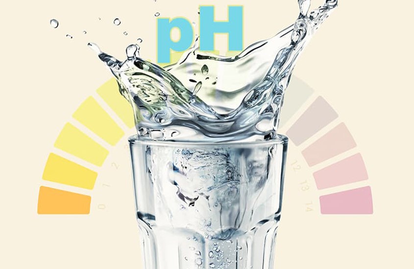 Cân bằng độ pH – giúp ngăn ngừa một số bệnh tật
